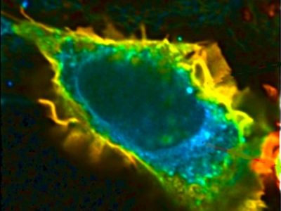 Lifesciences-400x300